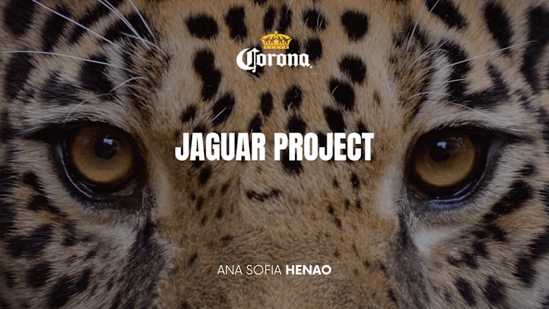 Cover image for Jaguar Project on Behance