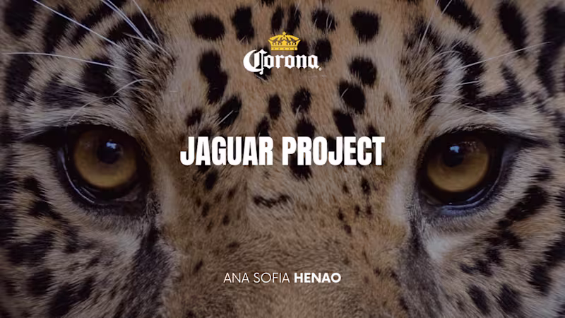 Cover image for Jaguar Project on Behance