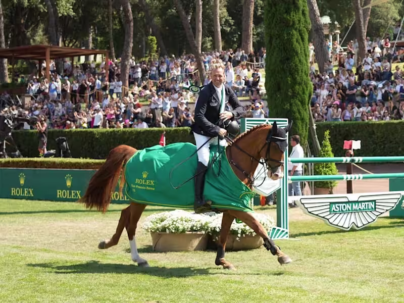 Cover image for Crafted Articles and Social Media Posts for HorseTV