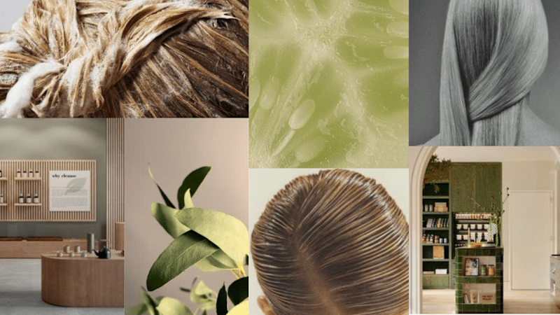 Cover image for Brand identity, Instagram management, Facebook Ads