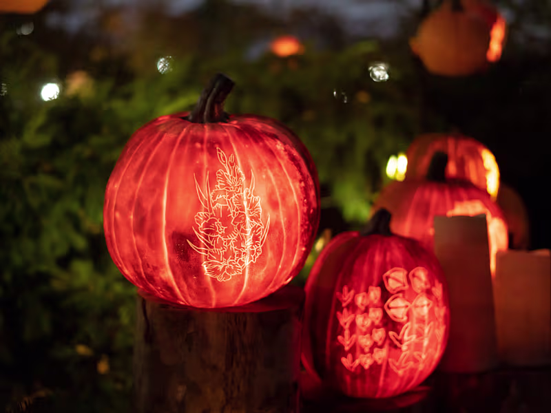 Cover image for Top 3 Trending DIY Halloween Decoration in 2023