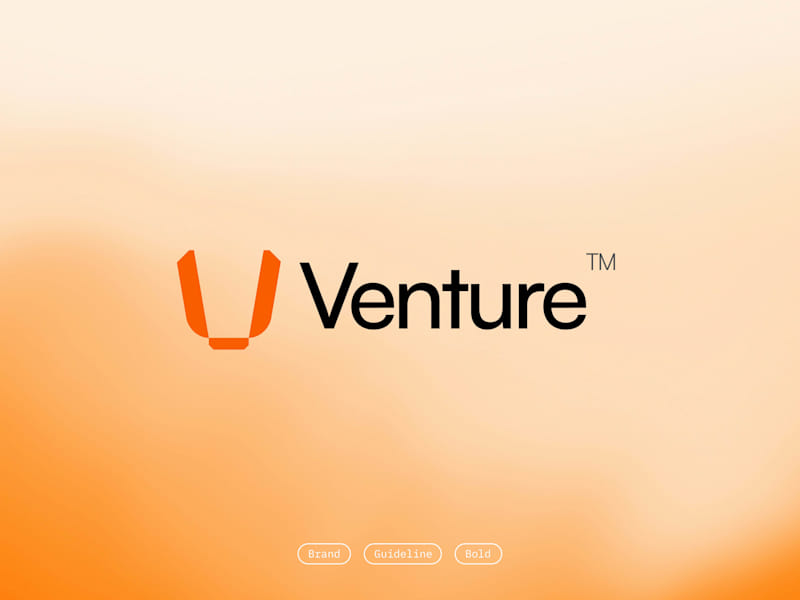 Cover image for Venture Brand Guidelines: Crafting a Bold Identity
