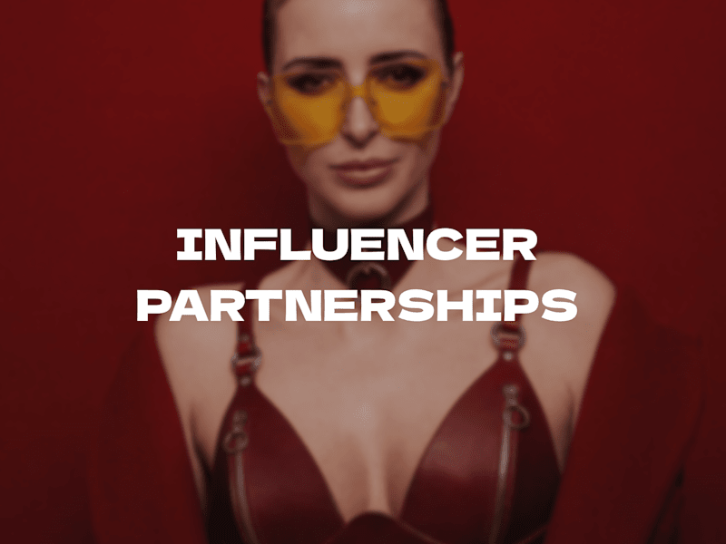 Cover image for Influencer Partnership Programs