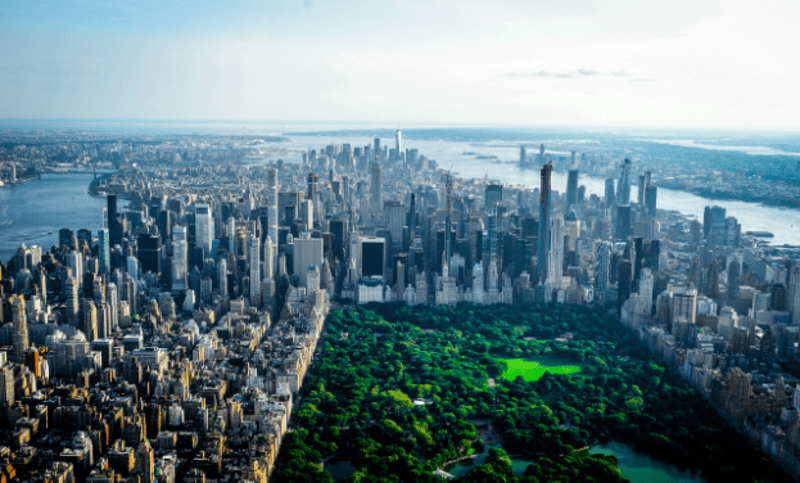Cover image for Exploring New York City's Hidden Gems