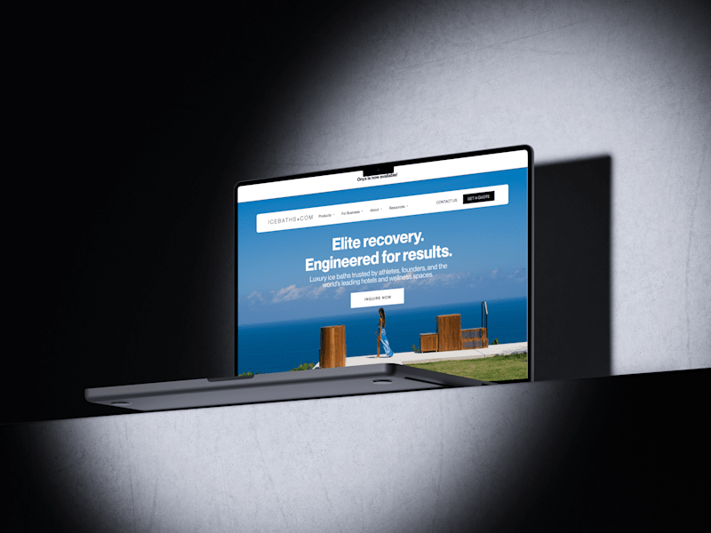 Cover image for Icebaths.com -  Instant Enterprise Web Design and Development