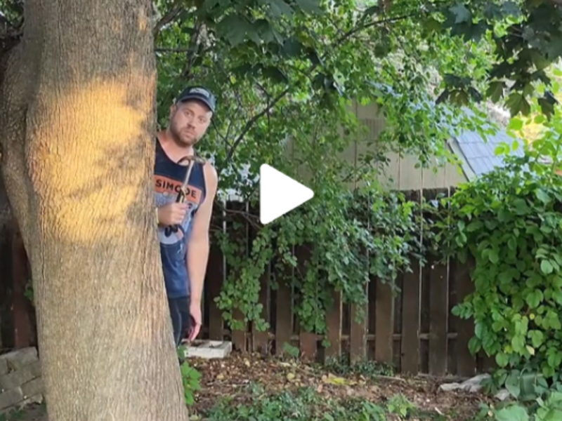 Cover image for Adam Best on TikTok