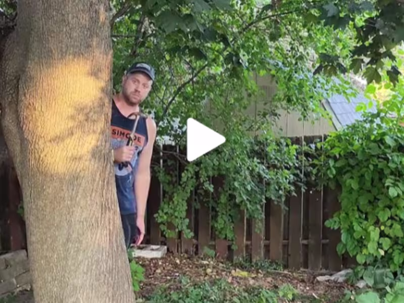 Cover image for Adam Best on TikTok