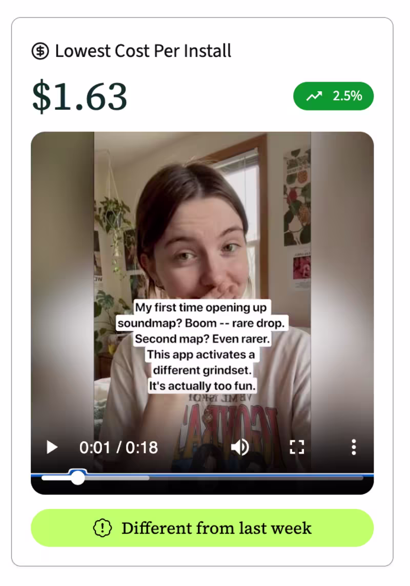 Cover image for Case Studies for Paid Social Ads