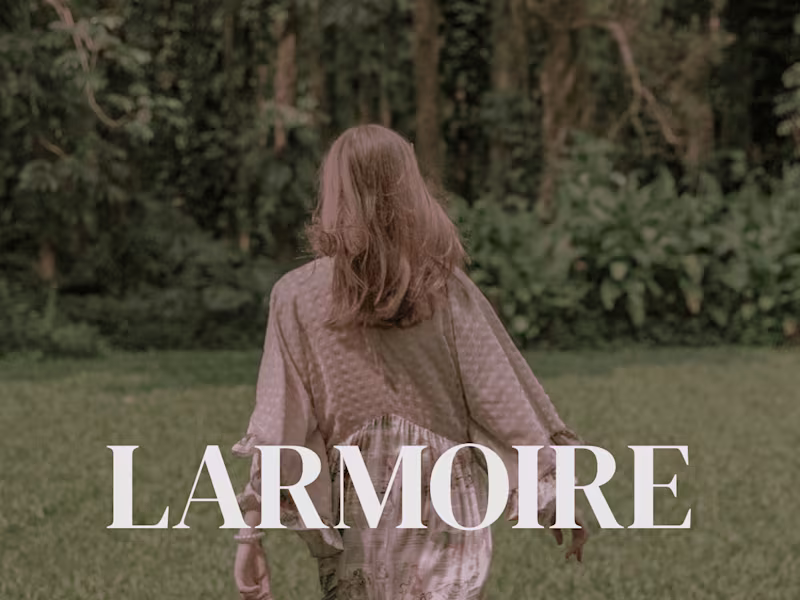 Cover image for LARMOIRE