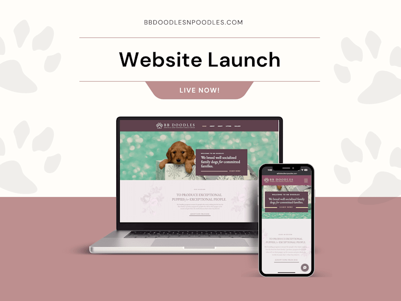 Cover image for BB Doodles & Poodles Website