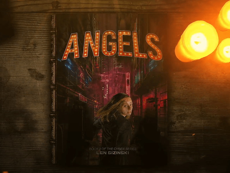 Cover image for Book Character Introduction