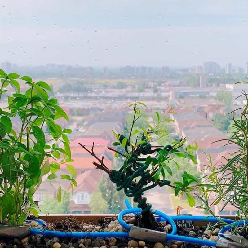 Cover image for Irrigation System