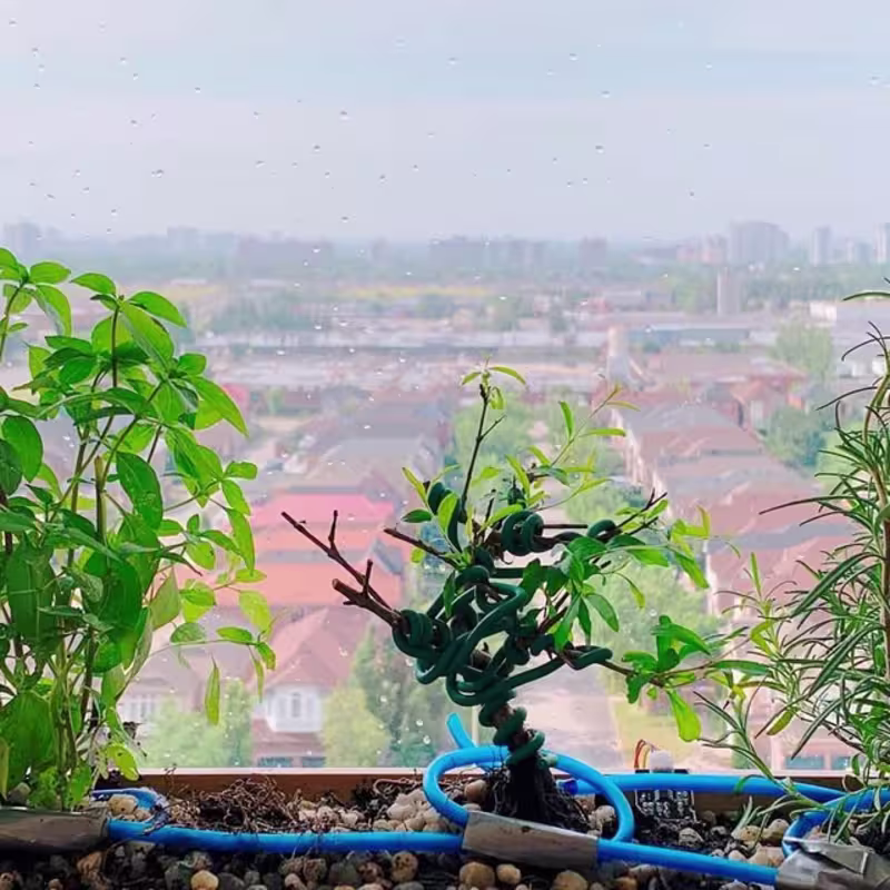 Cover image for Irrigation System