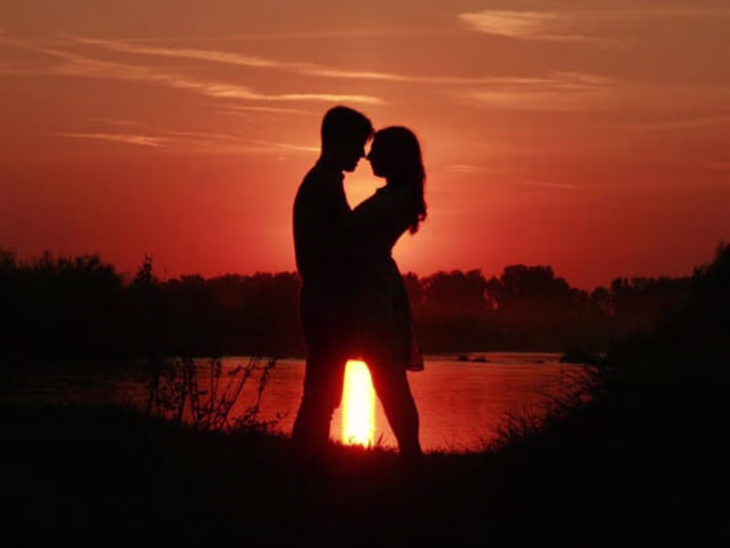 Cover image for Cupid is so Dumb