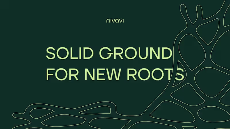 Cover image for Nivavi Brand Identity Design