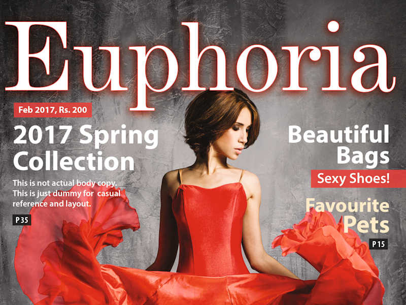 Cover image for Brochure or Catalogue Design 