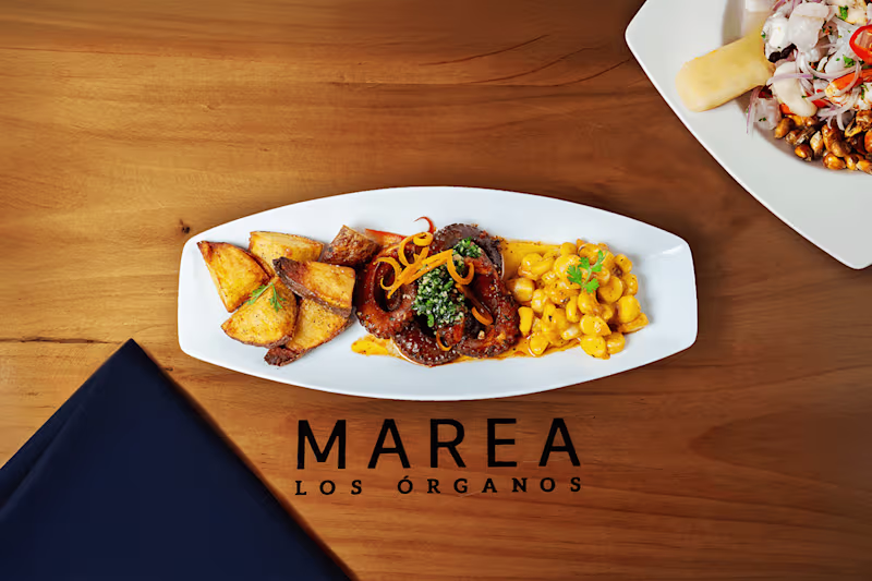 Cover image for MAREA
