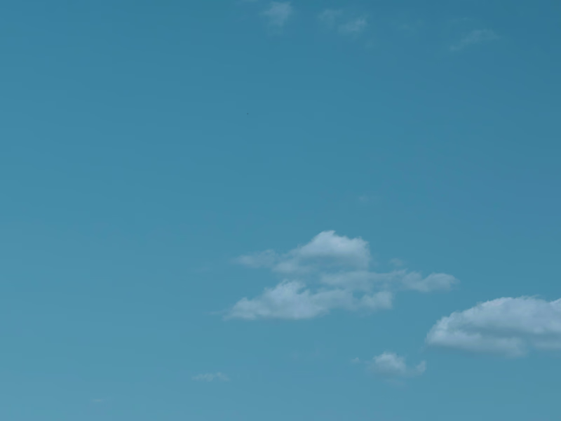 Cover image for Development of Logos for every taste