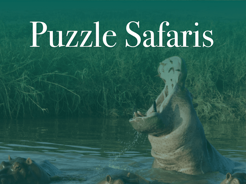 Cover image for Puzzle Safaris