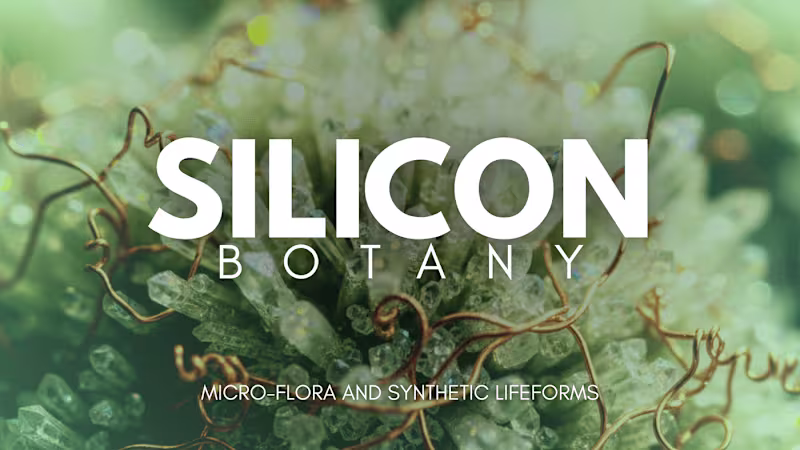 Cover image for SILICON BOTANY