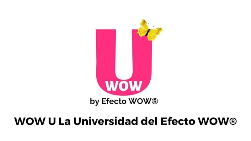 Cover image for The WOW U