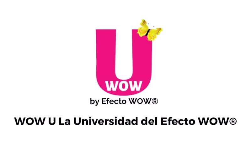 Cover image for The WOW U