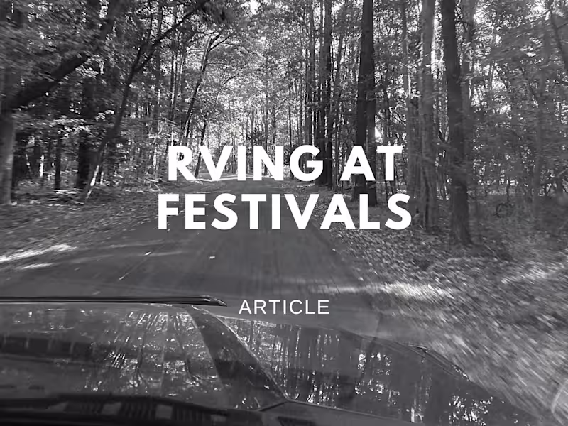 Cover image for Website Article