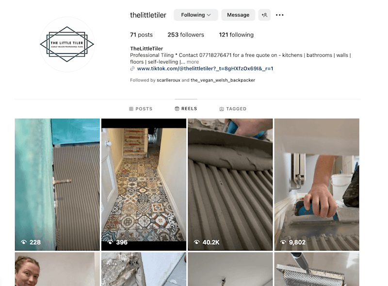 Cover image for The Little Tiler