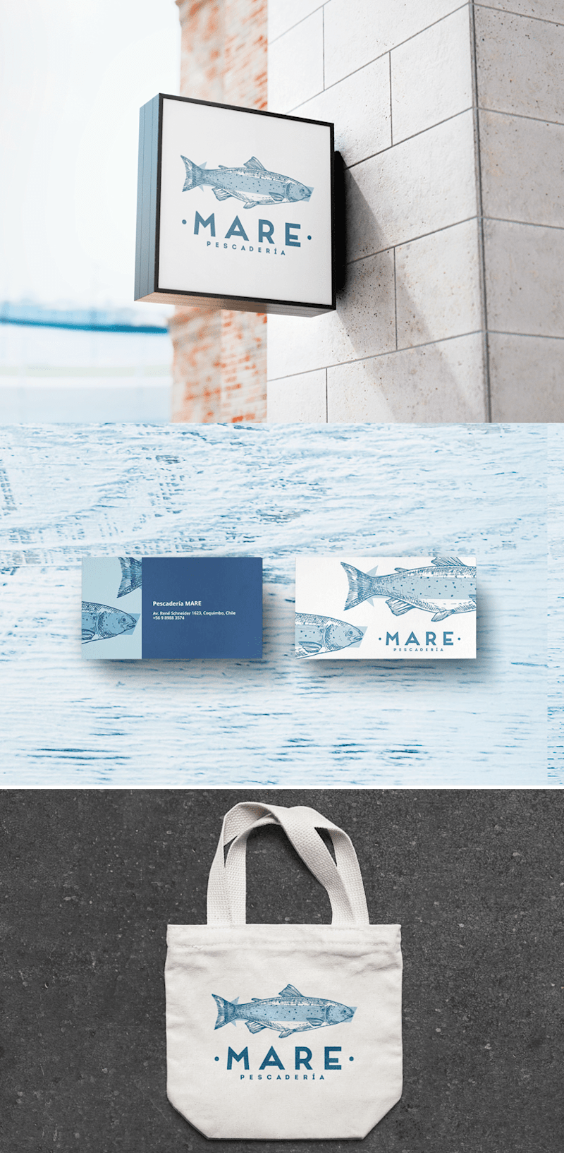 Cover image for MARE - Brand Identity for Seafood Restaurant