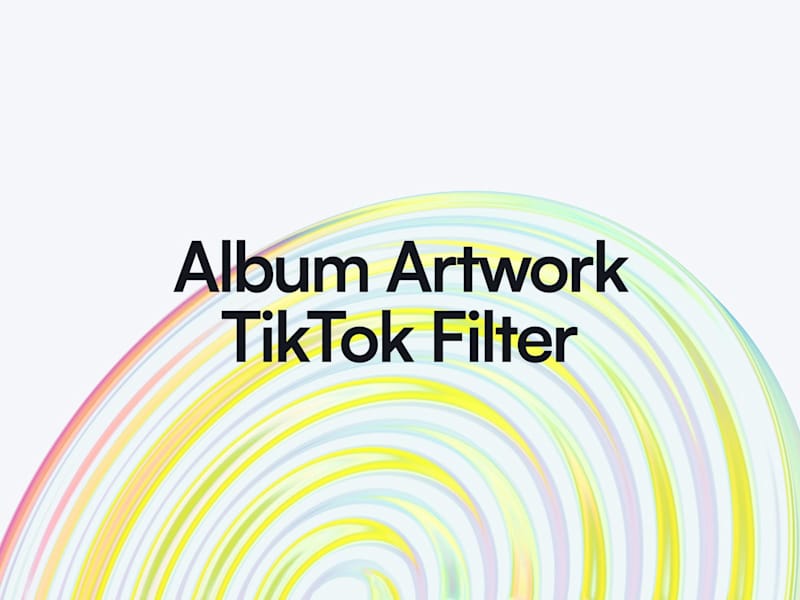 Cover image for Album Artwork TikTok Filter