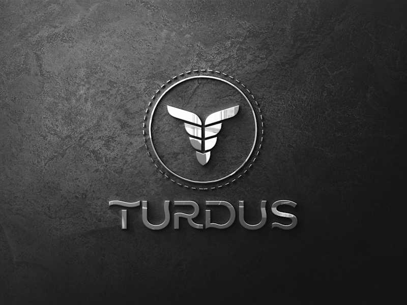 Cover image for TURDUS AIRLINE BRAND IDENTITY