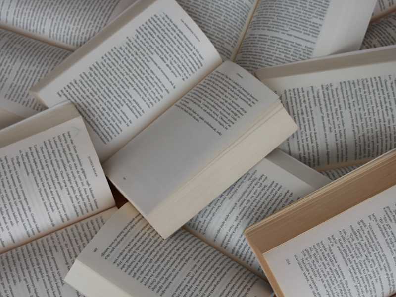 Cover image for Book Editor