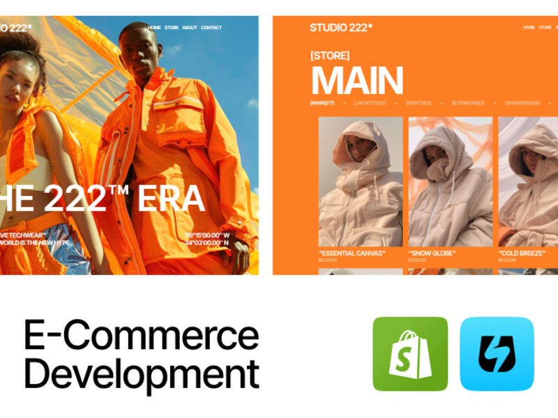 Cover image for E-Commerce Developmen