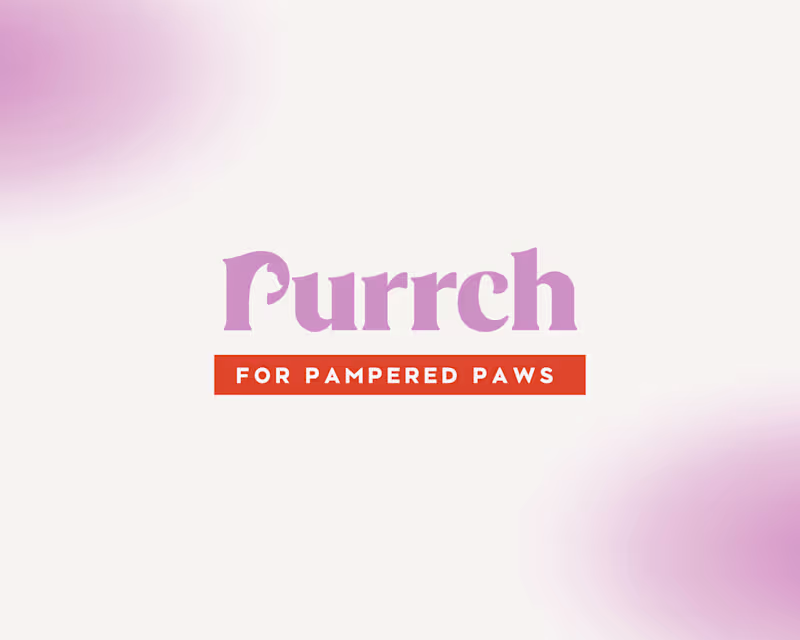 Cover image for Purrch's Logo and Branding Design