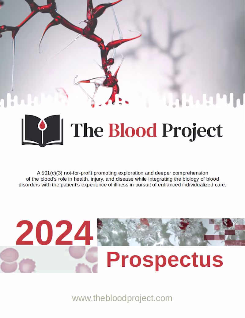 Cover image for The Blood Project Fundraising Prospectus