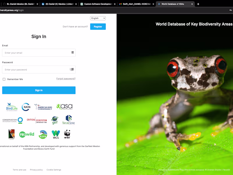 Cover image for Full stack software development services