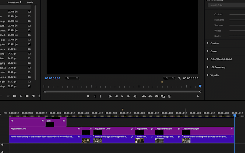 Cover image for Adobe Premier