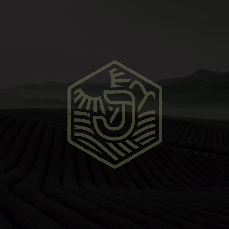 Cover image for Joora Tea Logo design and Branding