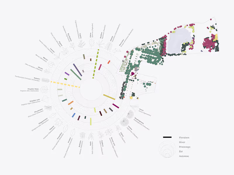 Cover image for Visualization of tree species and their blooming periods
