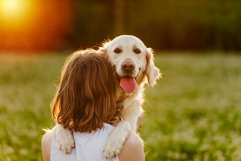 Cover image for Does Owning a Dog Really Help You Live Longer?