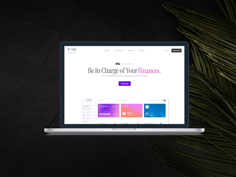 Cover image for Fintech SaaS Home Page Design for Raise Empire