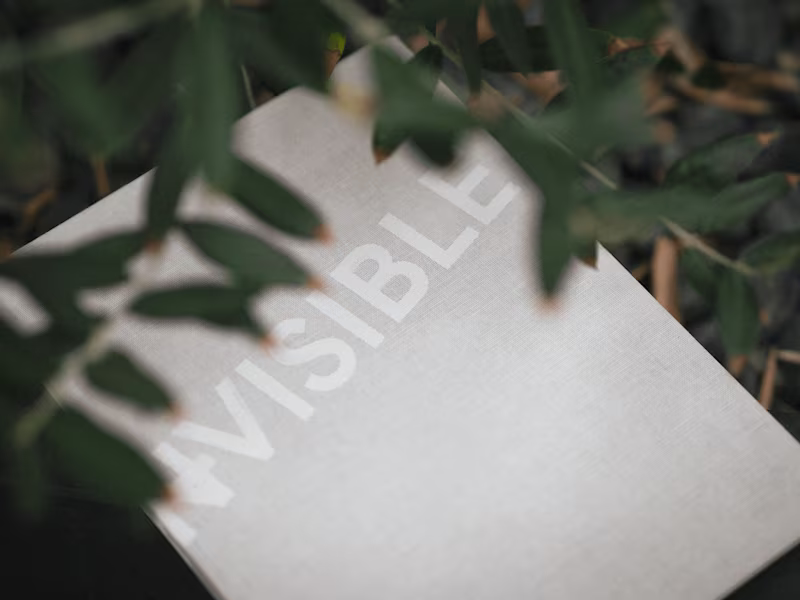 Cover image for -IN-VISIBLE