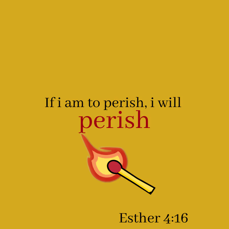 Cover image for Phone  Backgrounds 