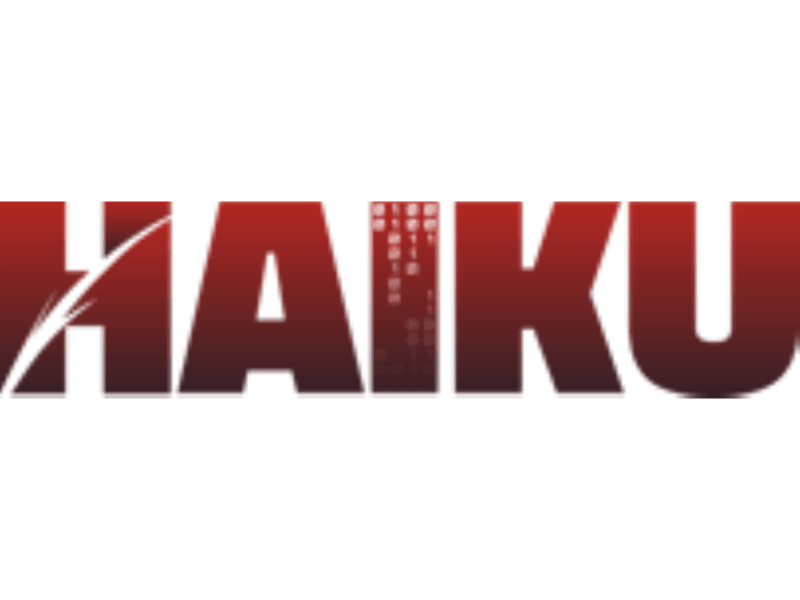 Cover image for UI | Editor Tools | Asset Management & Optimization : Haiku Inc