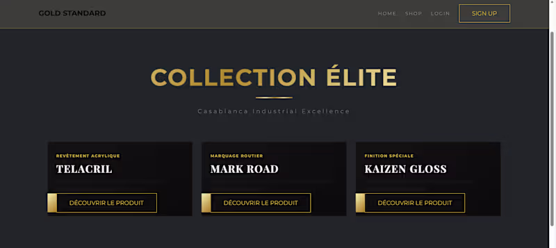 Cover image for my one projet that i