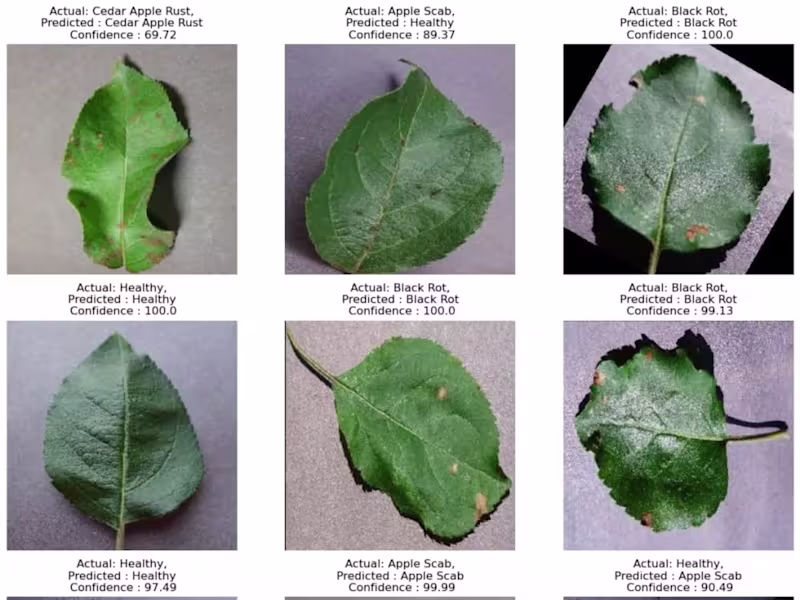 Cover image for LeafGuard – AI-Powered Plant Disease Detection