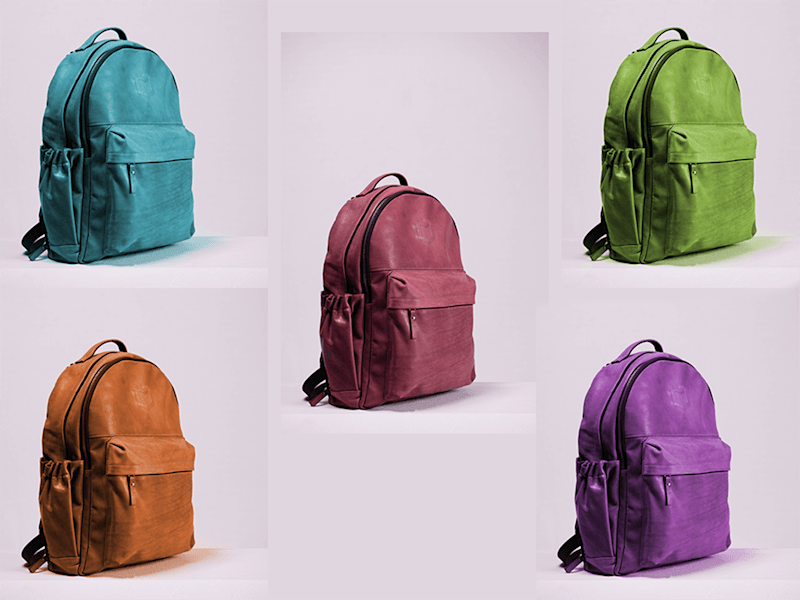 Cover image for COLOR CHANGING