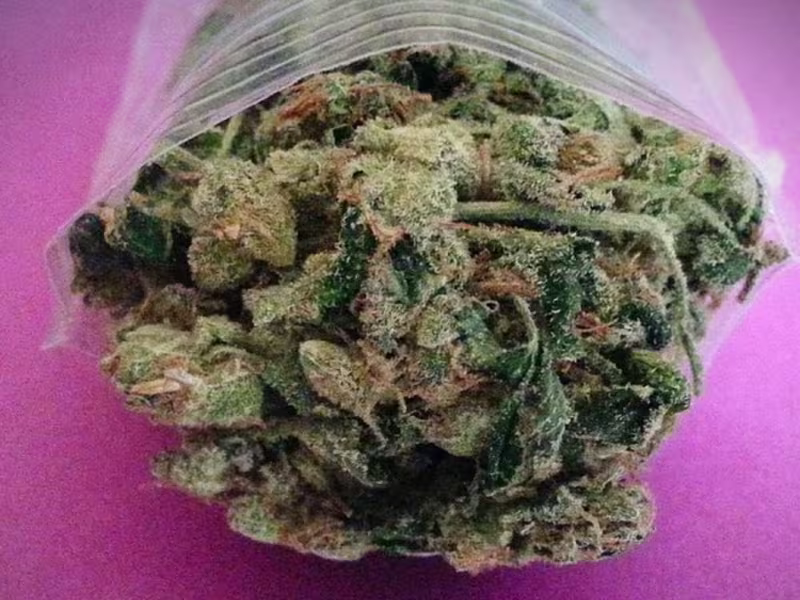 Cover image for What Does Pot Do To Your Mind And Body