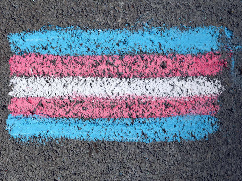Cover image for Gender/Transgender Talking Points