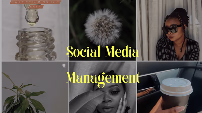 Cover image for Social Media Manager